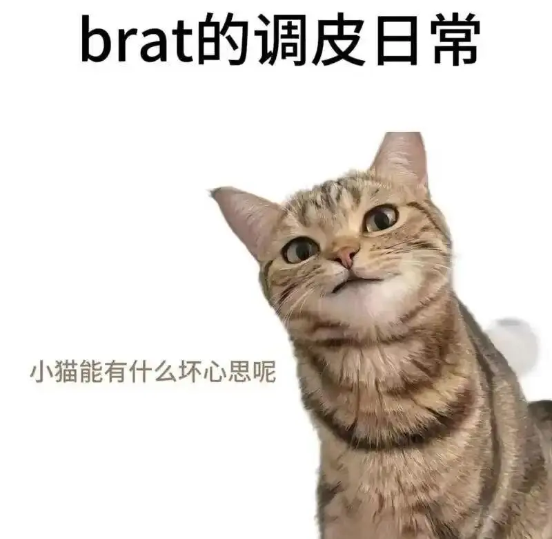 西檬之家恋足癖是什么? 一