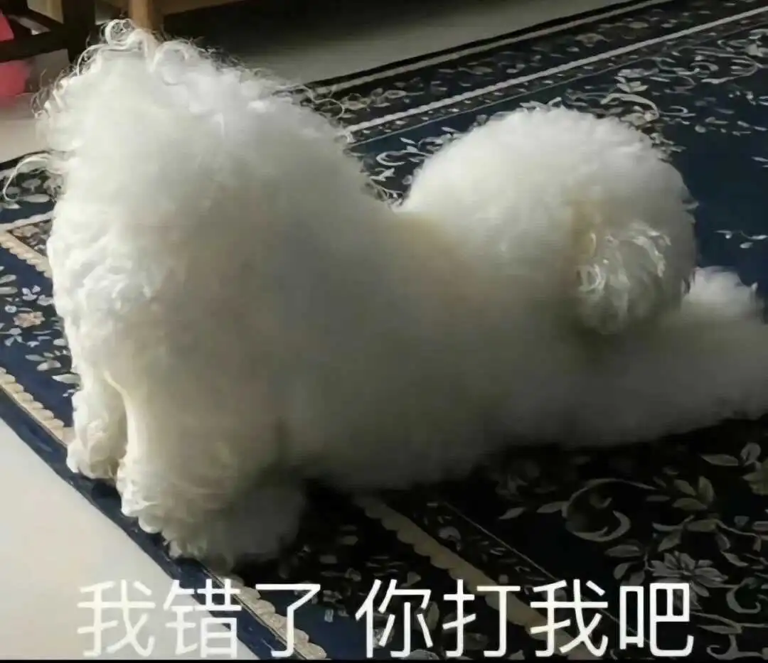 西檬之家sm亚文化是什么?新人如何安全入圈? 一