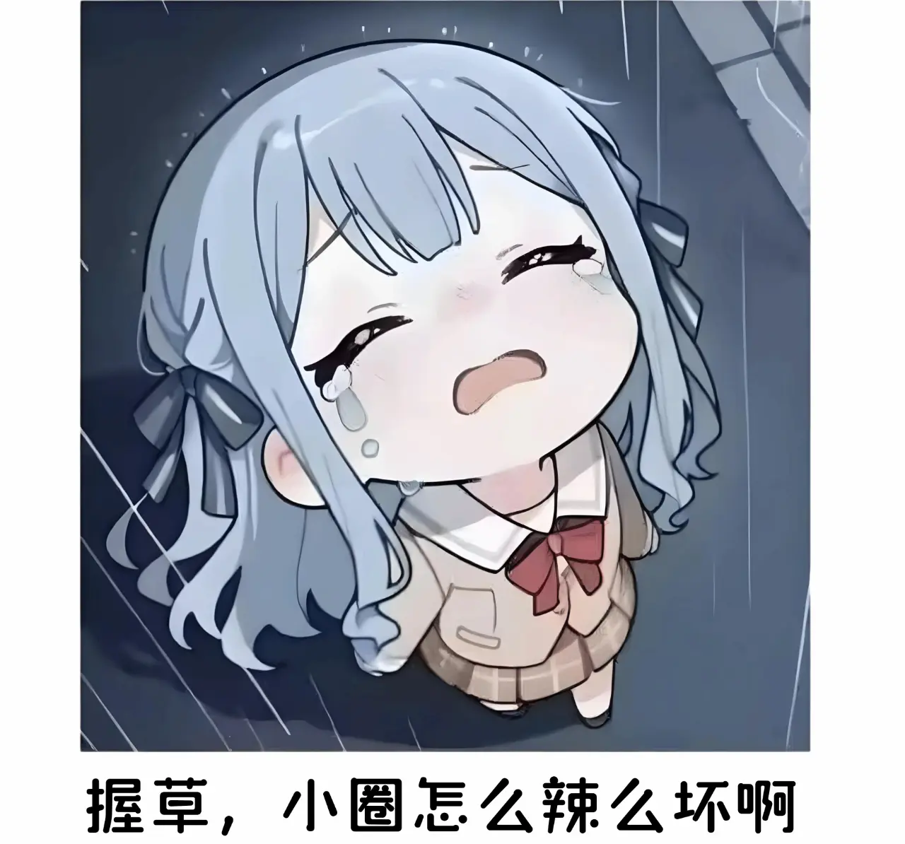 西檬之家SP是什么?字母圈新人入圈 一