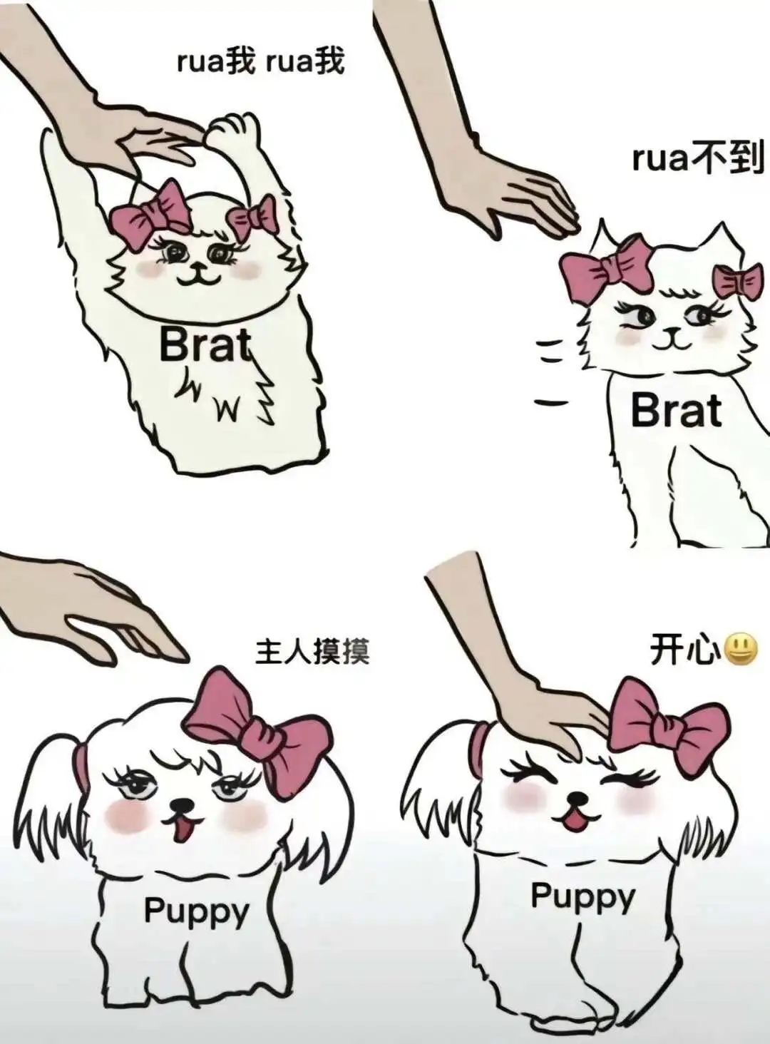 西檬之家Dom/Sub关系怎么玩?字母圈新人入圈 一