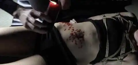 西檬之家字母圈的DOM是什么意思? 一
