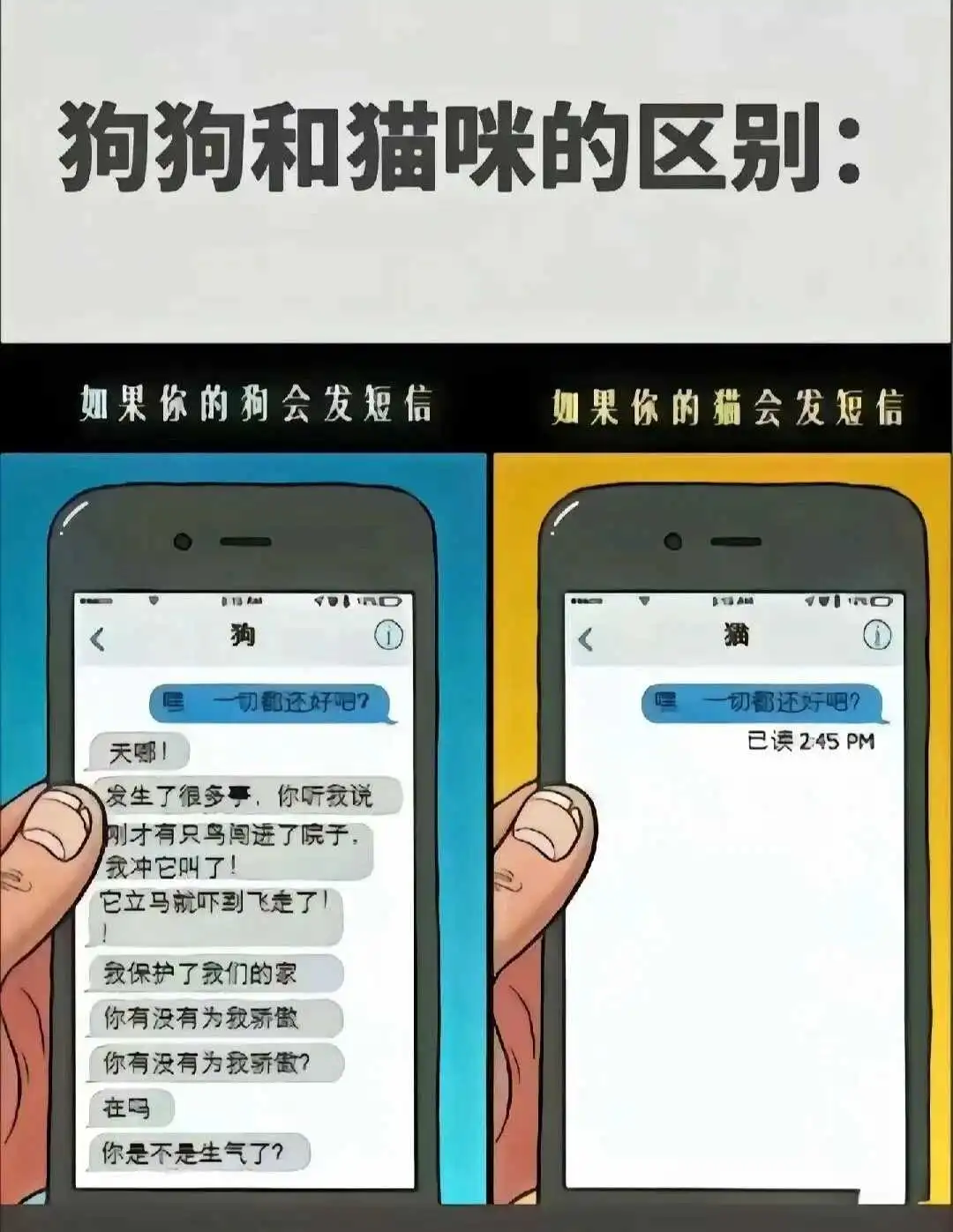 西檬之家字母圈中Dom是什么意思? 一