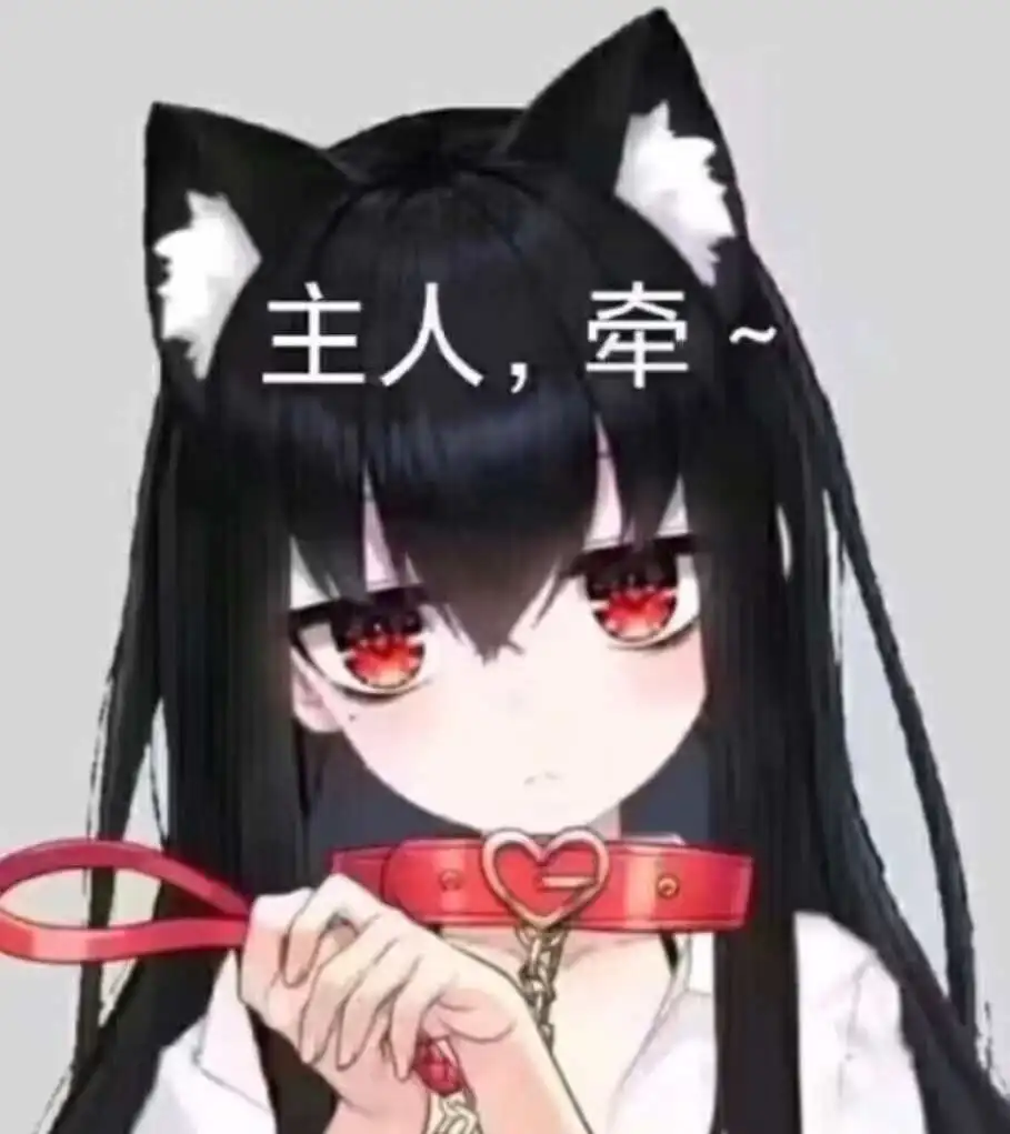 西檬之家K9是什么?字母圈新人入圈 一