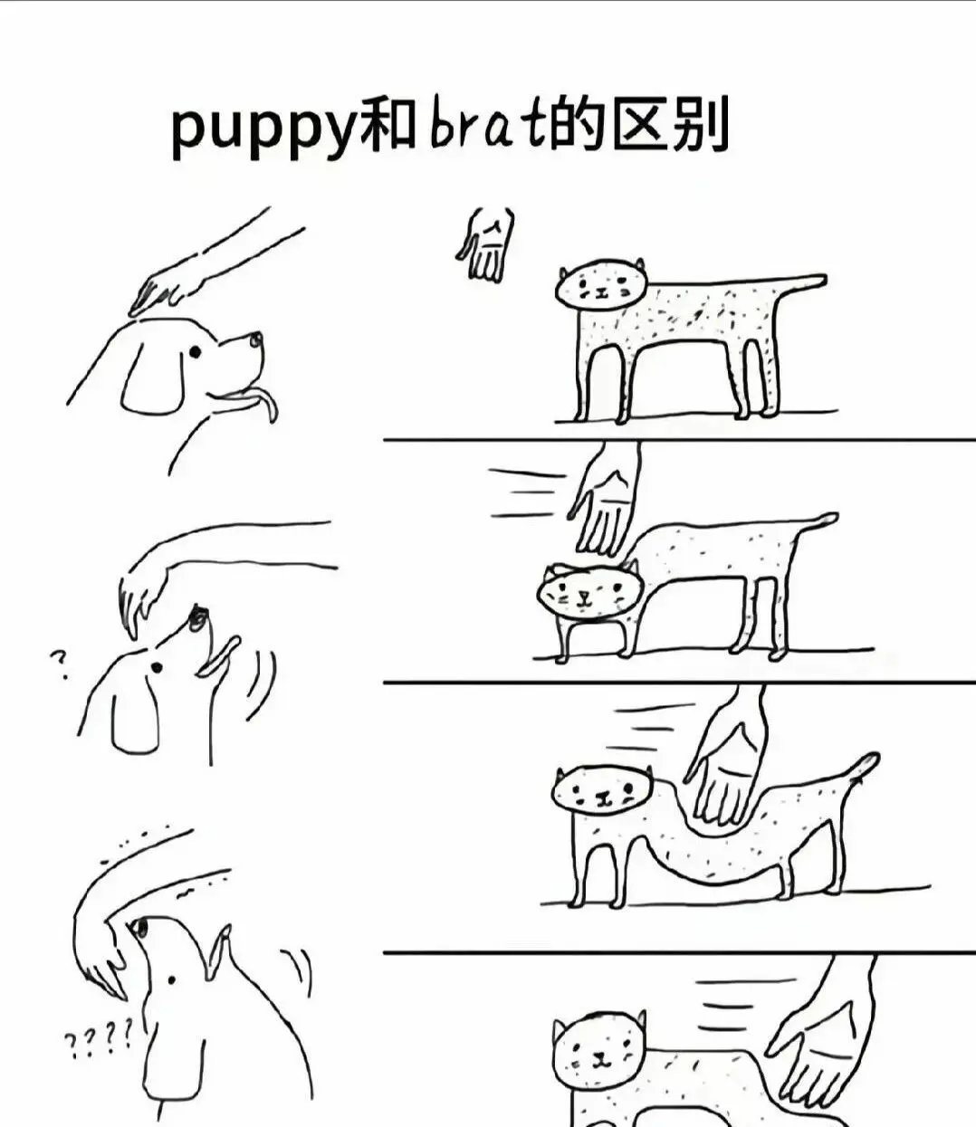 西檬之家sm亚文化百科指南 一