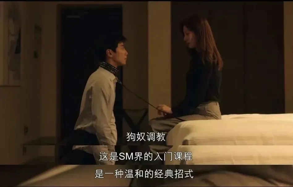 西檬之家k9犬系是什么?字母圈新人如何理解 一
