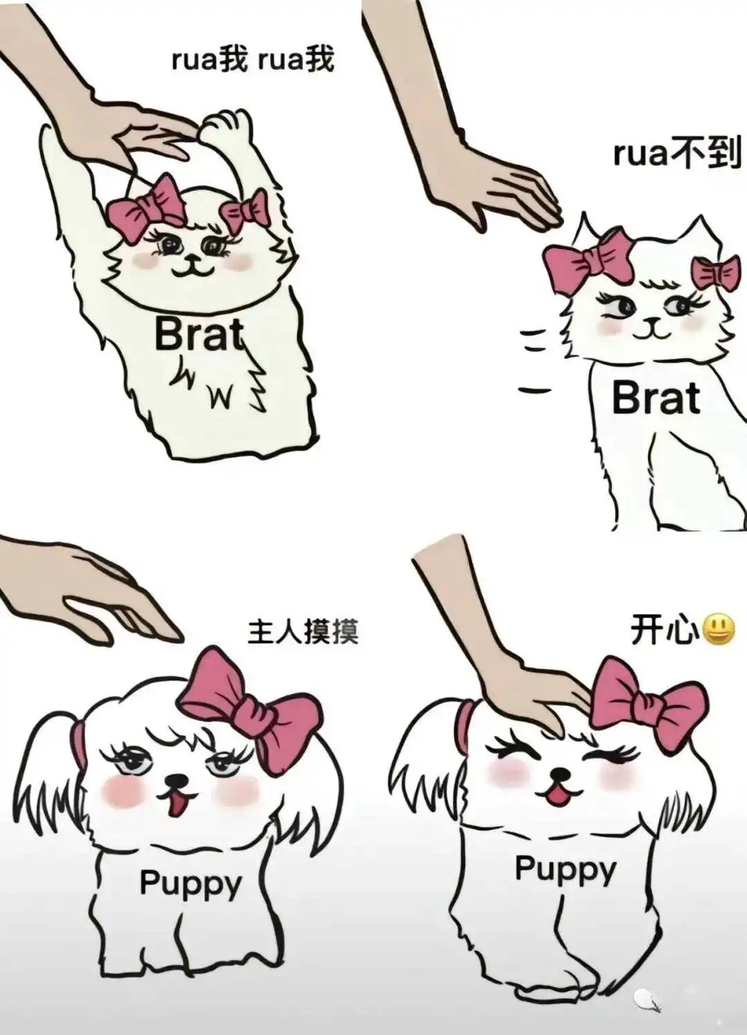 西檬之家TK是什么?字母圈新人入圈 一