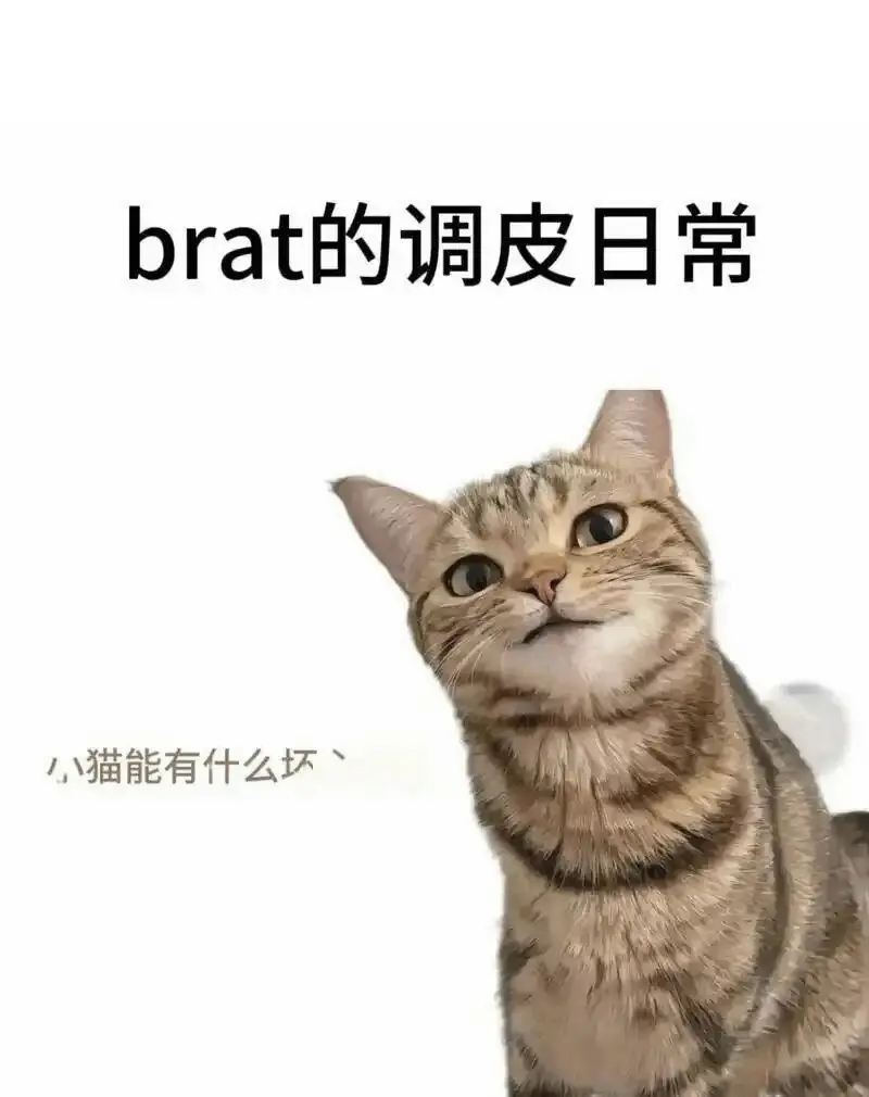 西檬之家Brat属性是什么?你是字母圈小魔王吗 一